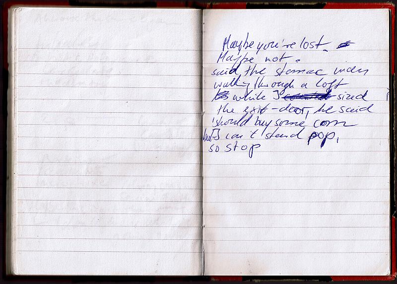 blackredbook (46)